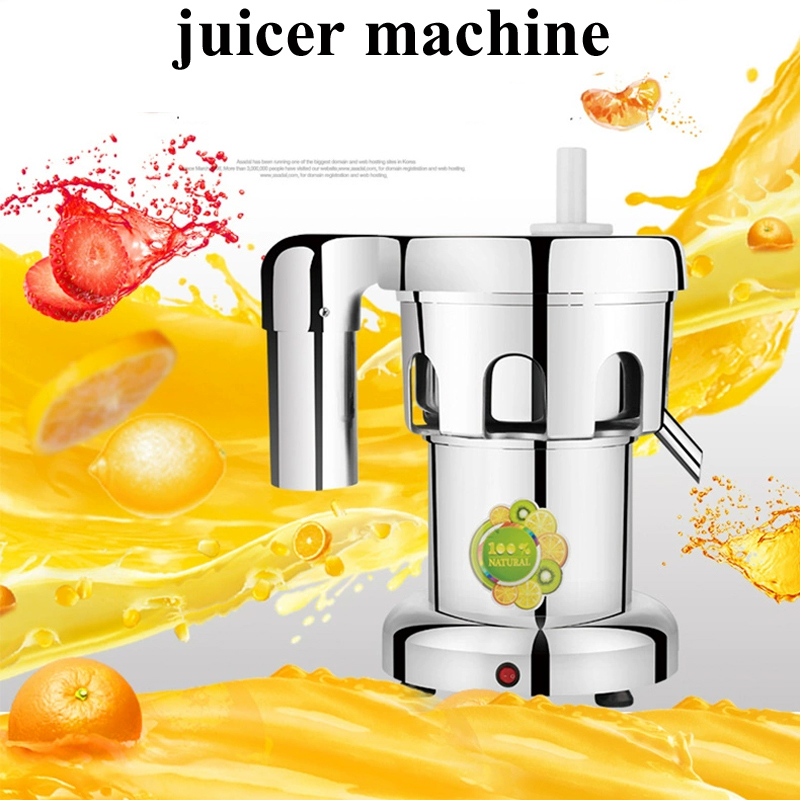 Electric Juice Extractor Stain - đánh giá và giá Juicer