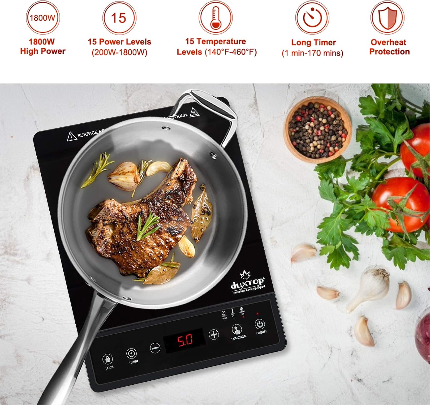 Portable Induction Cooktop, Co - đánh giá và giá Induction Cooktop Portable